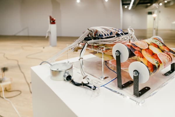 Installation view of “Parade (a Drip, a Drop, the End of the Tale)” Japan House São Paulo, São Paulo, 2021.