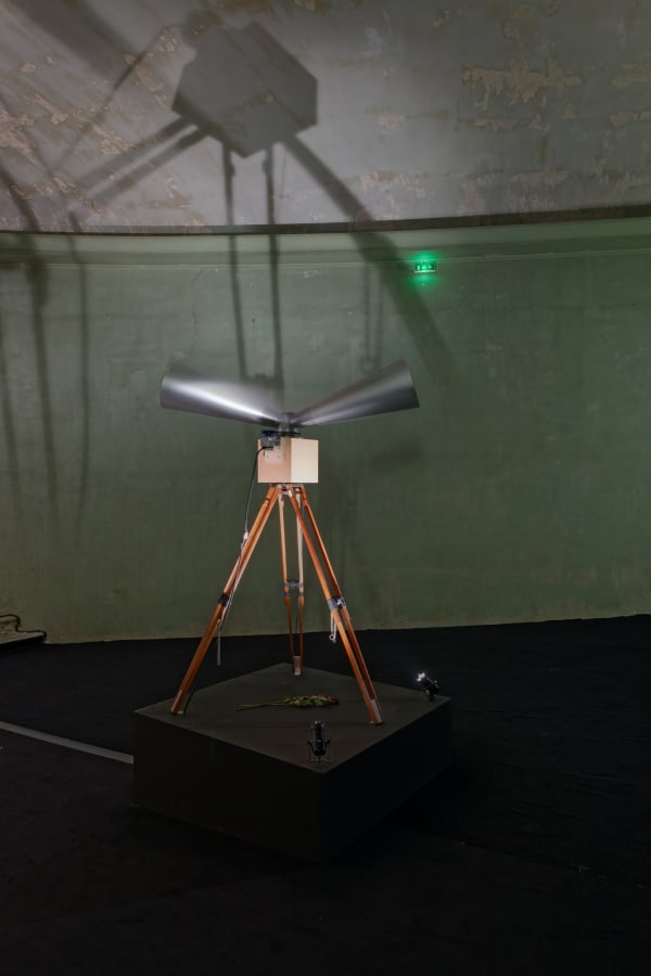Installation view of “Childhood:” Palais de Tokyo, Paris, 2018