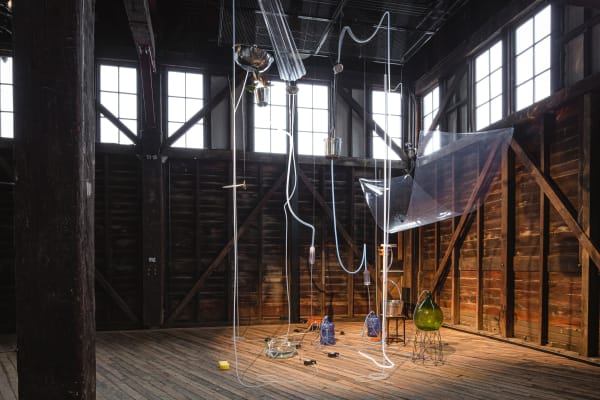 Installation view of the 23rd Biennale of Sydney, 2022