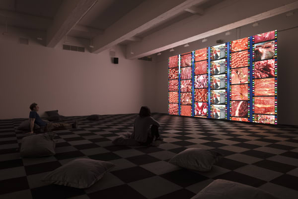 Shiyuan video installation