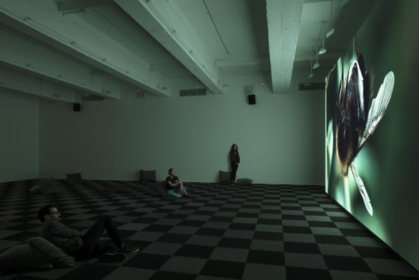 Shiyuan video installation