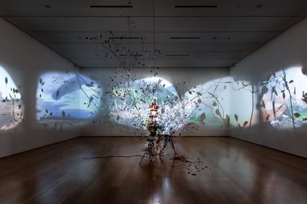Sarah Sze installation image at Nasher Sculpture Center, Dallas, 2024.