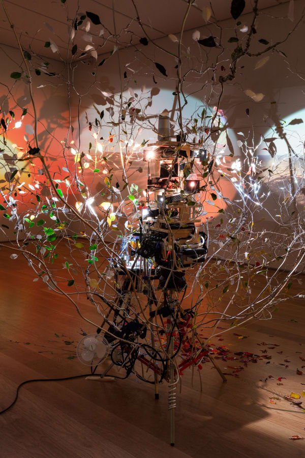 Sarah Sze installation image at Nasher Sculpture Center, Dallas, 2024.