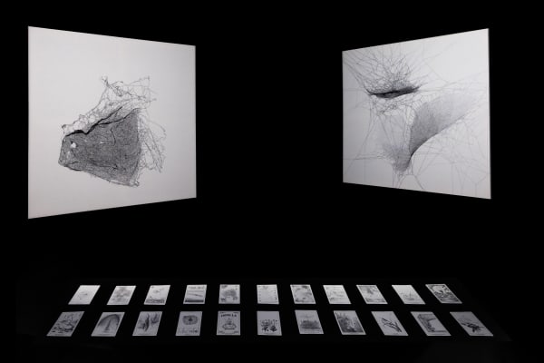 Installation view of Tomás Saraceno: Complementarities at Red Brick museum.