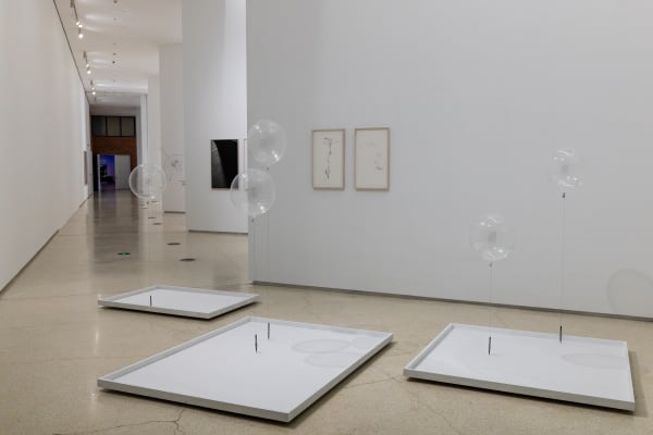 Installation view of Tomás Saraceno: Complementarities at Red Brick museum.