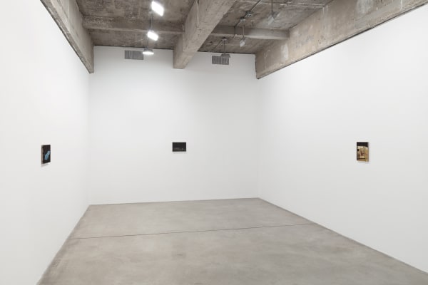 Powell install images of paintings