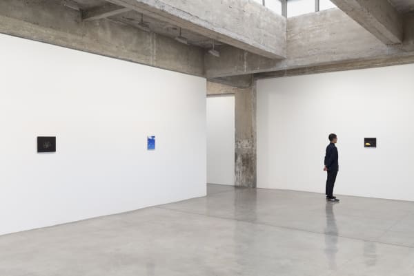 Powell install images of paintings