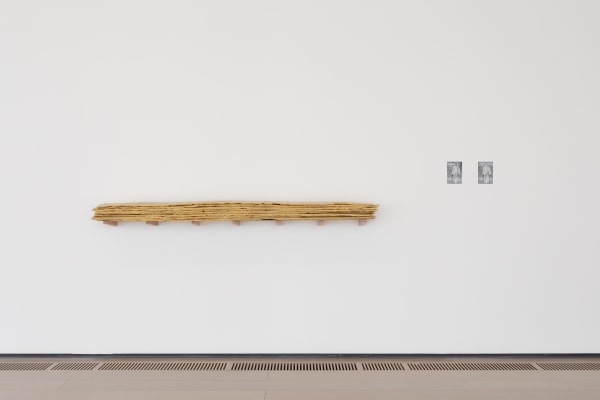 Installation images of Shilpa Gupta: I Live Under Your Sky Too.