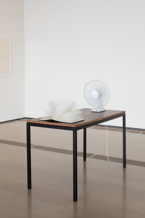 Installation images of Shilpa Gupta: I Live Under Your Sky Too.