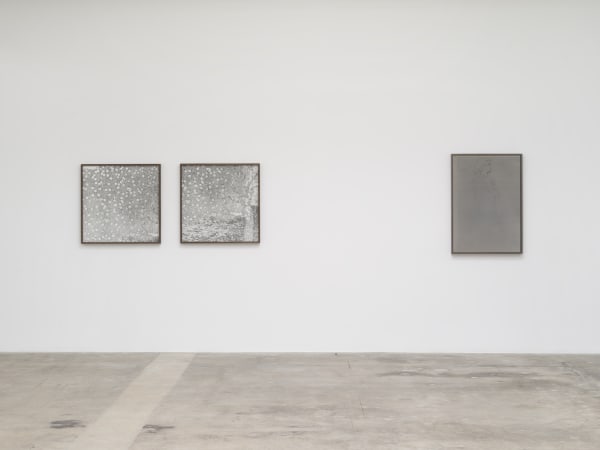 Lisa Oppenheim's installation images at TBG LA 2024.