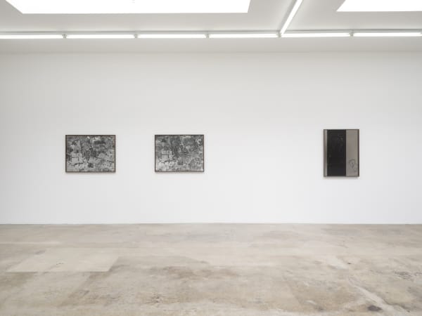 Lisa Oppenheim's installation images at TBG LA 2024.