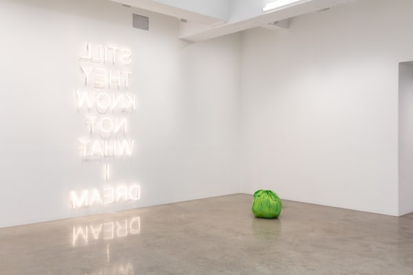 THE OBJECTS WE CHOOSE, CURATED BY PEDRO ALONZO installation images