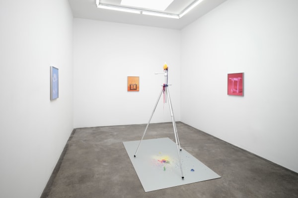Installation image of Signal Fires at Tanya Bonakdar Gallery, Los Angeles.