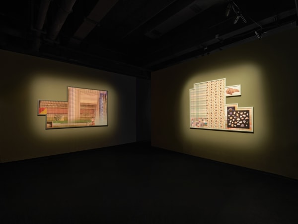 Installation image of Liu Shiyuan: CRISPR Whisper at Fotografiska, Shanghai.