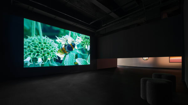 Installation image of Liu Shiyuan: CRISPR Whisper at Fotografiska, Shanghai.