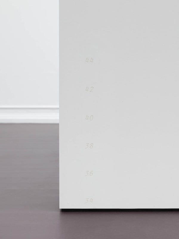 Installation view of Magali Reus: As mist, description.