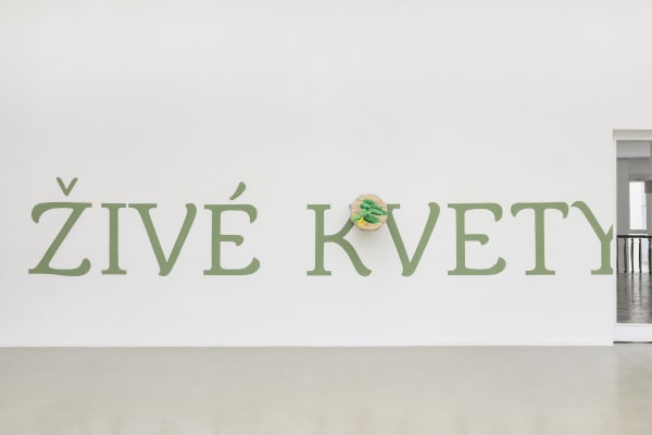 Installation view at Kunsthalle Bratislava, Bratislava, Slovakia.