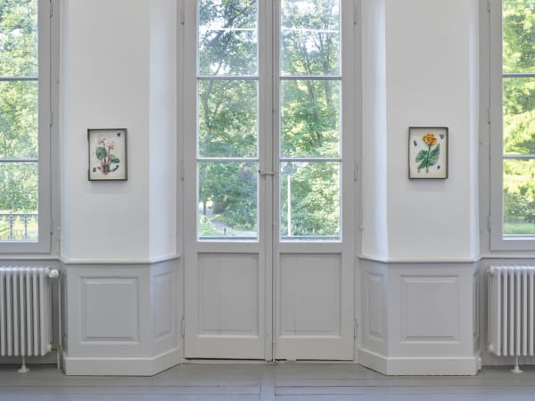 Installation view of Magali Reus: Our Volumes.