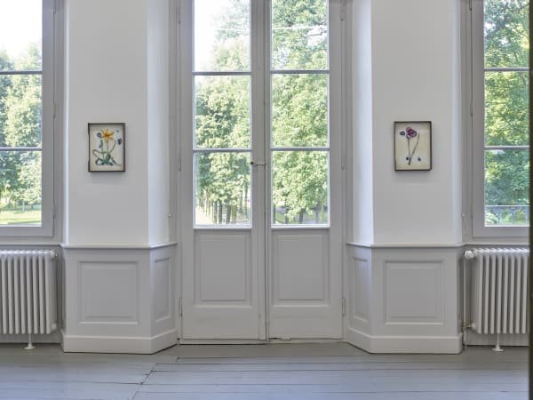 Installation view of Magali Reus: Our Volumes.