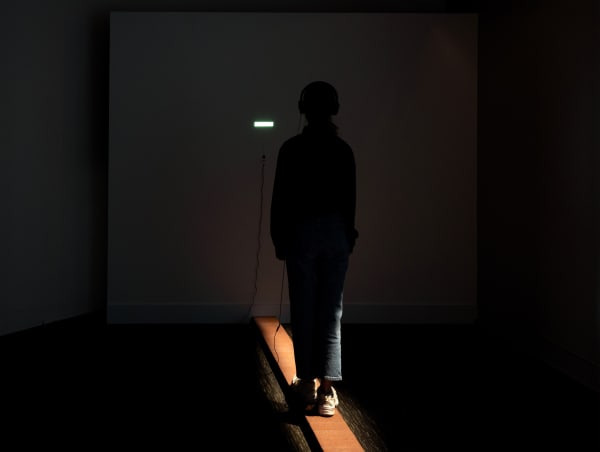 Installation view Shilpa Gupta: I did not tell you what I saw, but only what I dreamt.