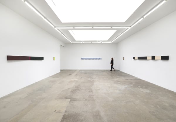 Lisa Williamson's installation view at TBG LA.