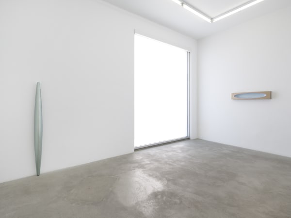 Lisa Williamson's installation view at TBG LA.