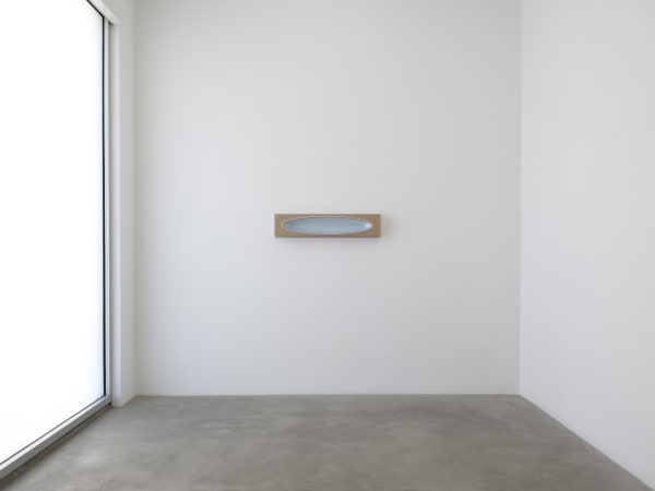 Lisa Williamson's installation view at TBG LA.