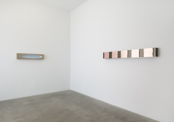 Lisa Williamson's installation view at TBG LA.