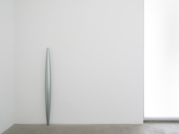 Lisa Williamson's installation view at TBG LA.