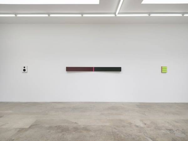 Lisa Williamson's installation view at TBG LA.