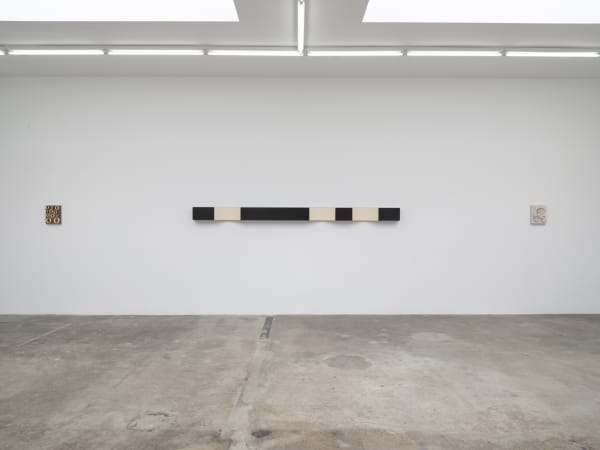 Lisa Williamson's installation view at TBG LA.