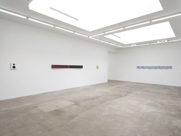Lisa Williamson's installation view at TBG LA.