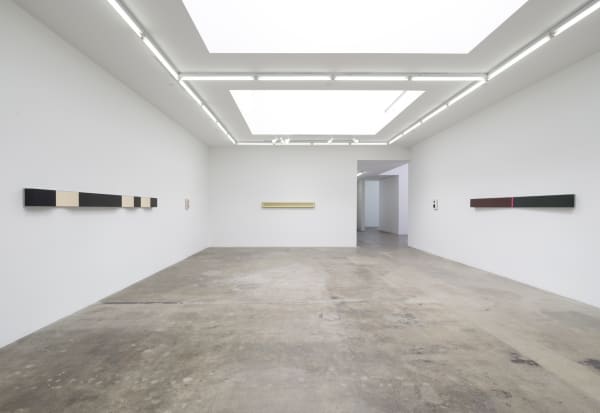 Lisa Williamson's installation view at TBG LA.