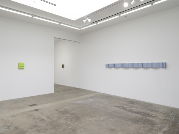 Lisa Williamson's installation view at TBG LA.