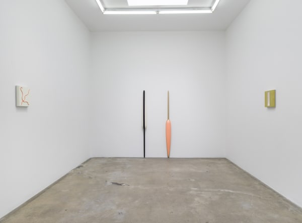 Lisa Williamson's installation view at TBG LA.