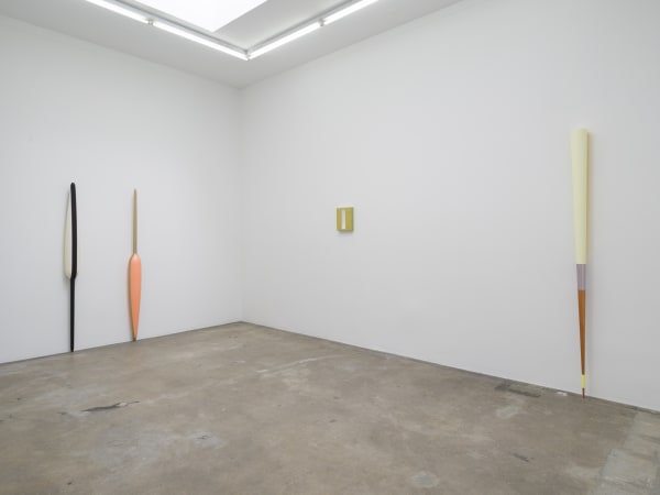 Lisa Williamson's installation view at TBG LA.