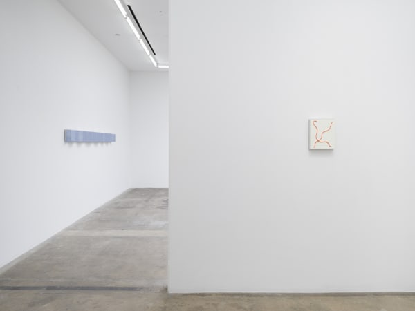 Lisa Williamson's installation view at TBG LA.