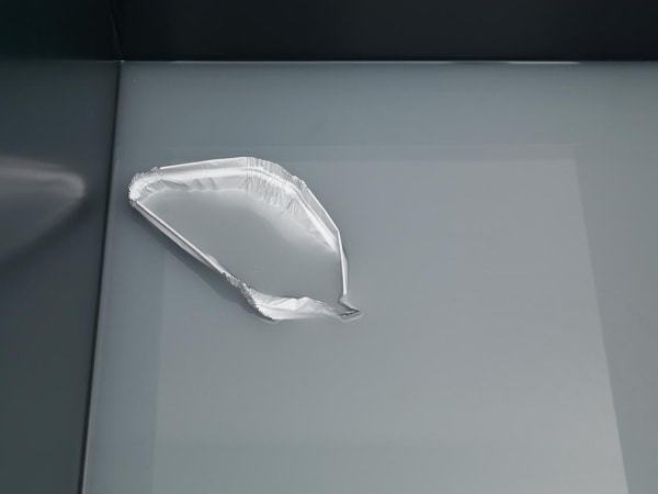 Installation view of Magali Reus: DINOSAURS.