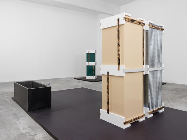 Installation view of Magali Reus: DINOSAURS.