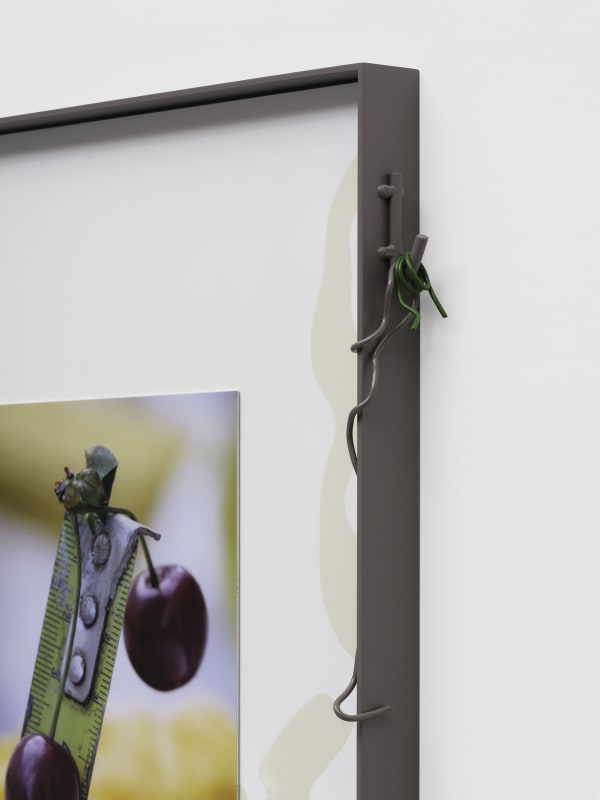 Installation view at Museum Dhondt-Dhaenens, Sint-Martens-Latem, Belgium.