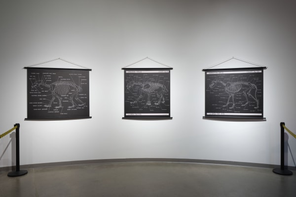 Installation image of Mark Dion: Excavations.