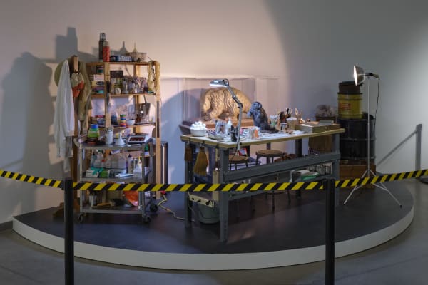 Installation image of Mark Dion: Excavations.