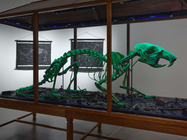 Installation image of Mark Dion: Excavations.