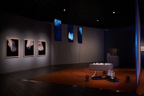Image of MOHRI Yuko–On Physis 2024, at Artizon Museum, Ishibashi Foundation.