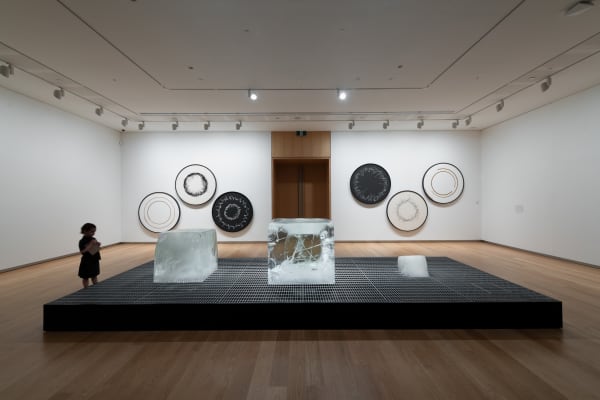 Installation view: Olafur Eliasson: Your curious journey, Auckland Art Gallery Toi o Tāmaki, 2024