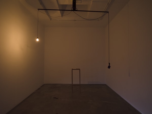 Gupta installation images from TBG LA.