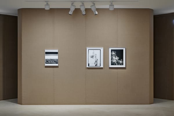 Installation image of Lisa Oppenheim, Monsieur Steichen, 2025.