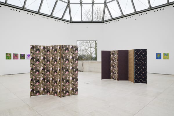 Installation image of Lisa Oppenheim, Monsieur Steichen, 2025.