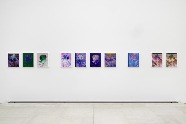Installation image of Lisa Oppenheim, Monsieur Steichen, 2025.