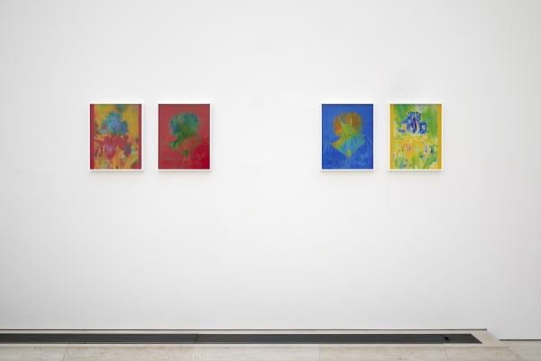 Installation image of Lisa Oppenheim, Monsieur Steichen, 2025.